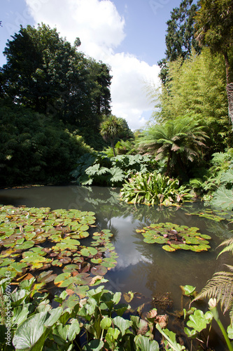 Saint Austell (England), UK - August 19, 2015: The Lost Gardens of Heligan, Cornwall, England, United Kingdom. photo