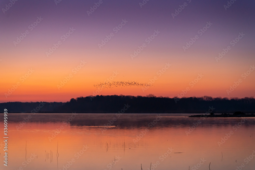 Morning sunrise at the lake with birds