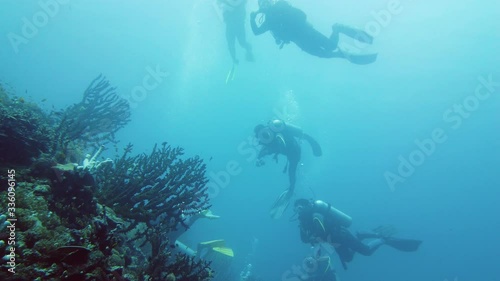 Wallpaper Mural Scuba divers and coral reef with fishes in blue sea. Tropical underwater seascape with coral reef. Leyte, Philippines. Torontodigital.ca