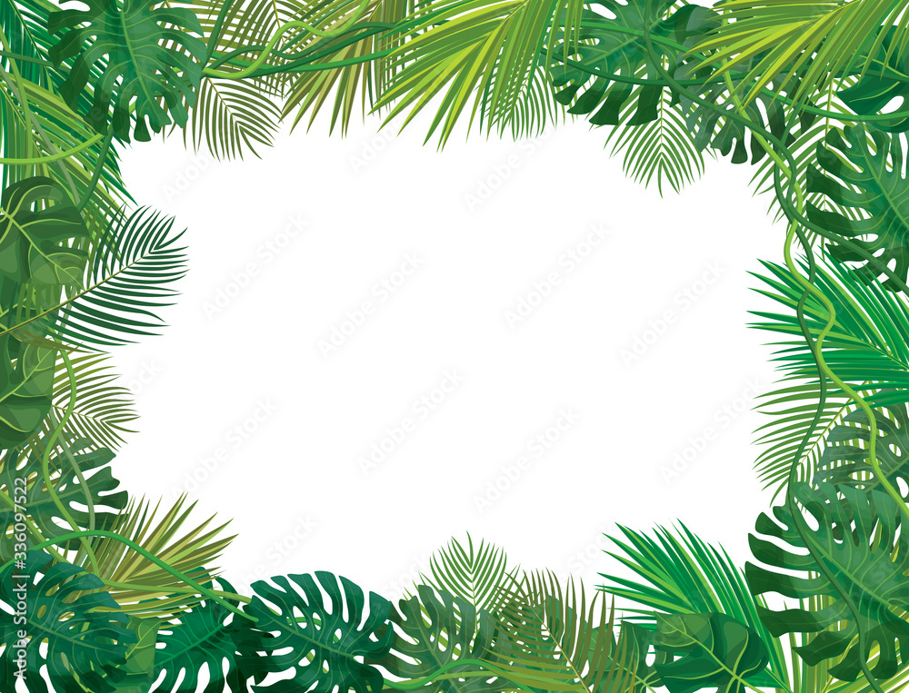 Vectot frame, tropical leaves isolated. Vectot frame, tropical leaves isolated.