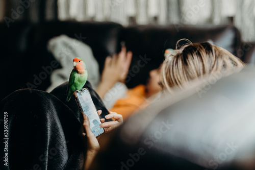 Woman liviing with Lovebird on hand with smart phone in livingroom. photo