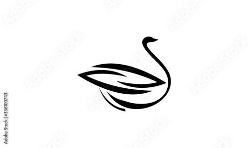 swan logo design vector