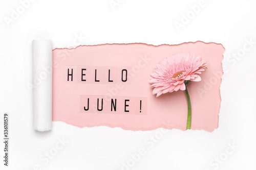 Hello June text and pink gerbera flower on pink background. Paper hole with torn edges. Hello June concept