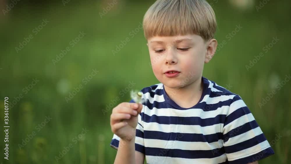 cute adorable boy playing on dandelion field. spring and summer background concept. child blowing on dandelions. cute adorable boy playing on dandelion field. spring and summer background concept. child blowing on dandelions.