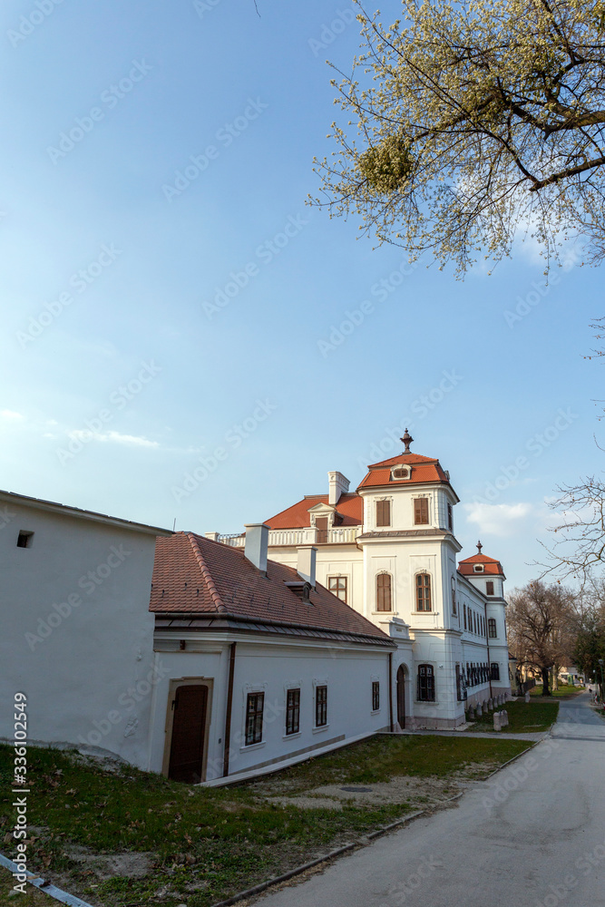 Esterhazy palace in Tata, Hungary Esterhazy palace in Tata, Hungary