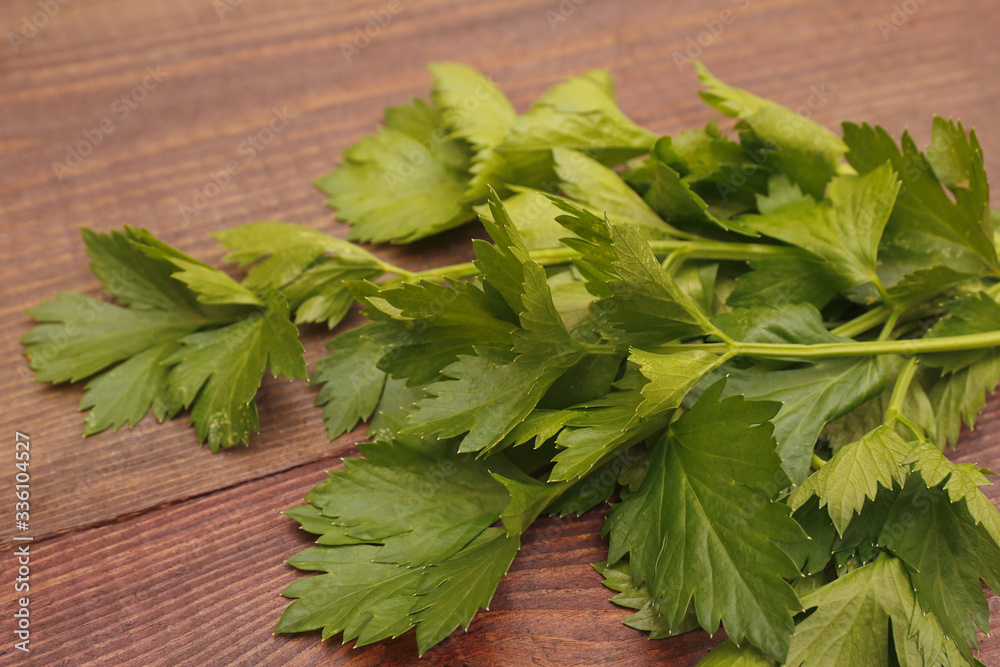 Bunch of fresh summer parsley on a rustic wooden table. Bunch of fresh summer parsley on a rustic wooden table.
