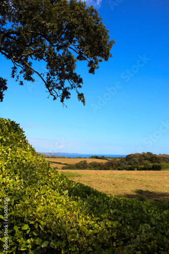 Saint Austell (England), UK - August 19, 2015: The Lost Gardens of Heligan, Cornwall, England, United Kingdom. photo