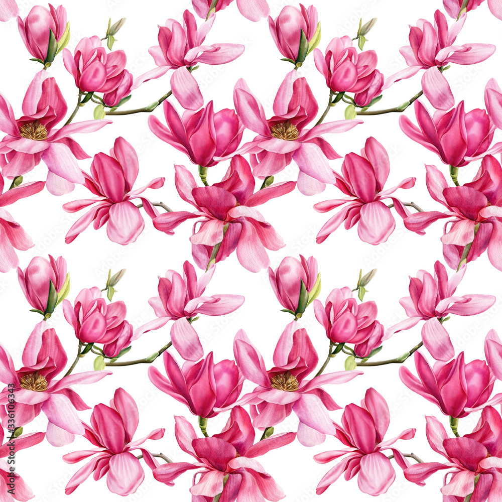 seamless pattern of pink magnolia on an isolated white background, watercolor flowers seamless pattern of pink magnolia on an isolated white background, watercolor flowers
