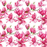 seamless pattern of pink magnolia on an isolated white background, watercolor flowers
