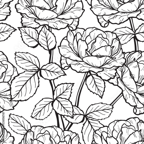Vector Flowers and Leaves Seamless Pattern. Hand drawn Branches of Rose Flower outline Sketch. Beautiful Bouquet of Summer garden Roses flowers. Black and White Floral Background. Plants Wallpaper 