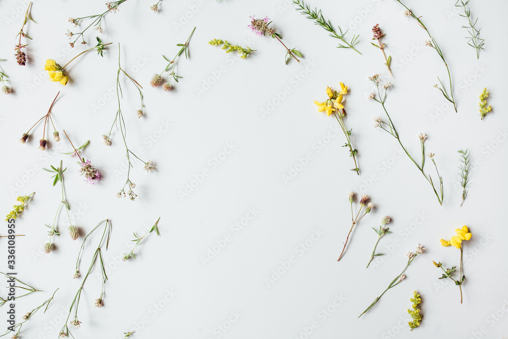Colorful pattern of field flowers on a white background