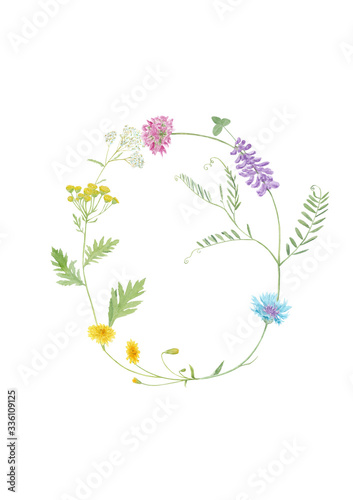 Watercolor hand drawn wild meadow flower alphabet collection. Letter O (cow vetch, dandelion, clover, cornflower, tansy, yarrow) isolated on white background. Monogram element for summer design.