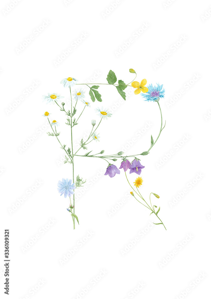 Watercolor hand drawn wild meadow flower alphabet collection. Letter R (bluebell, cornflower, chamomile, chicory, celandine, dandelion)  isolated on white background. Monogram element for summer