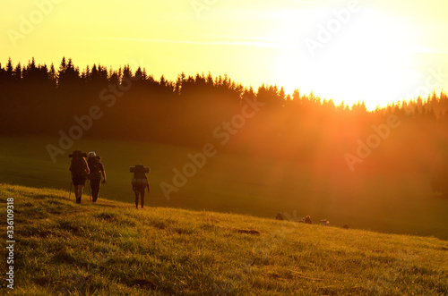 Tourist walking across the meadow towards the forest by the sunset glow.