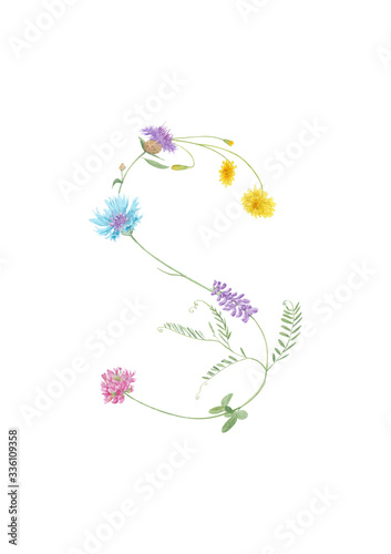 Watercolor hand drawn wild meadow flower alphabet collection. Letter S (clover, cornflower, cow vetch, dandelion) isolated on white background. Monogram element for summer design.