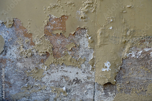 Bild auf Leinwand Mur moisi