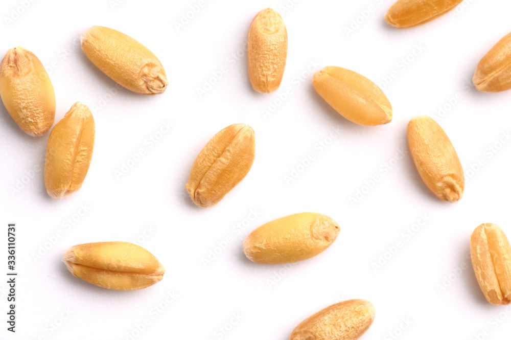 Obraz premium Seed of Wheat grain on white