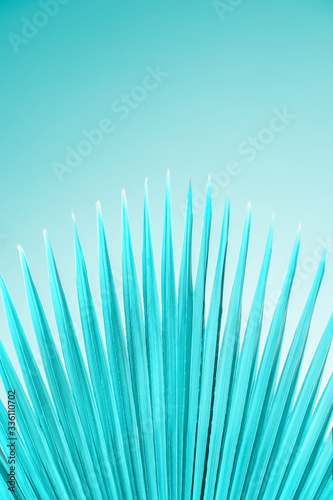 Wallpaper Mural Palm leaf nature background. Close up. Aqua menthe tinting Torontodigital.ca