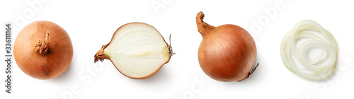 Set of fresh whole and sliced onions photo