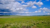 モンゴル　草原