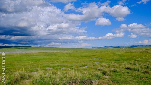 モンゴル 草原