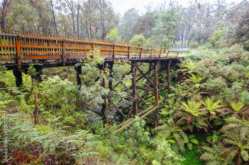 Noojee Trestle Rail Bridge in Victoria Australia photo