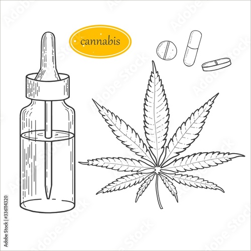 Set of sketches for marijuana items, hemp leaves. Sativa, indica marijuanna, medicine weed, legalize pot. medical bottle.