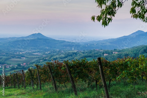 The morning haze in the valley is surrounded by hills. Parco Regionale dei Colli Euganei. Italy. Soft focus, blurry background.
