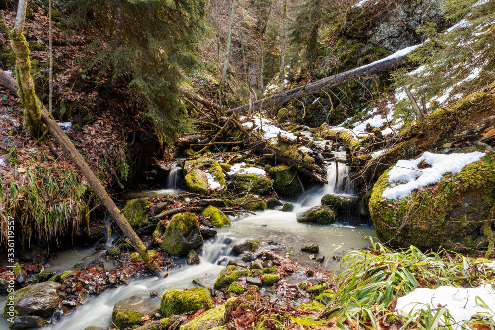 small waterfall in the forest