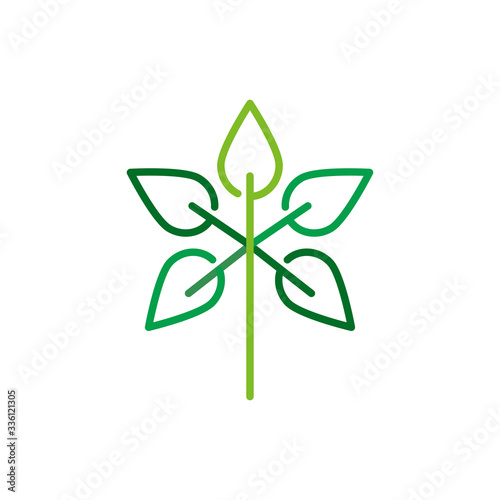 Leaf Nature Logo Design Vector
