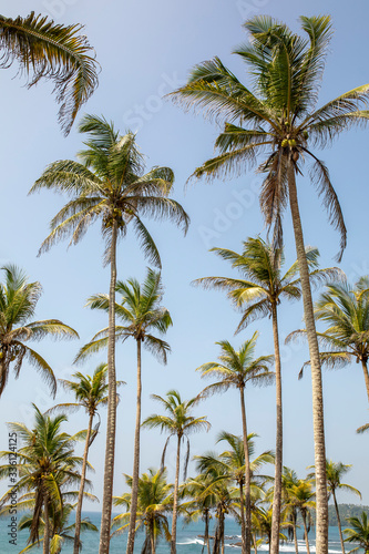 Sri Lanka 