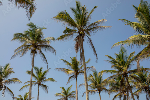 Sri Lanka 