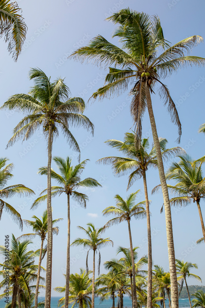 Sri Lanka 