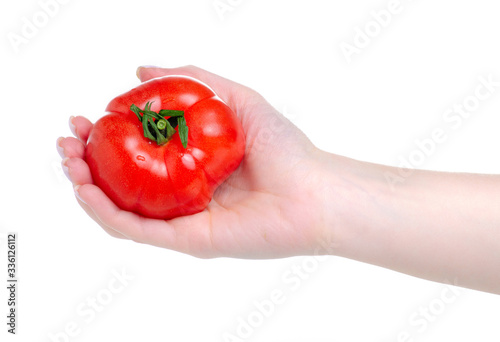 Red ripe tomatoes in hand on white background