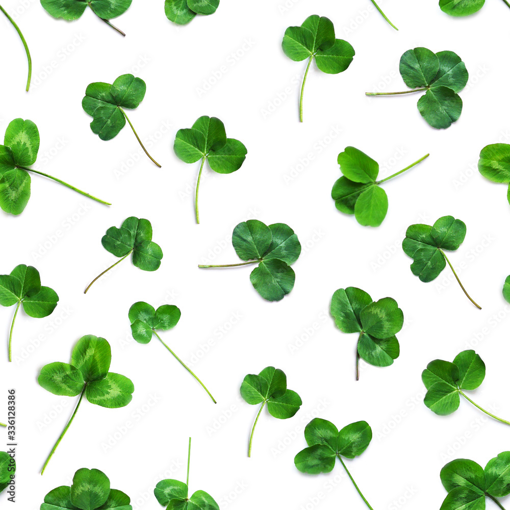 Green clover, the symbol of the holiday St. patrick's day. Seamless pattern of clover leaves isolated on white background, top view, flat lay.