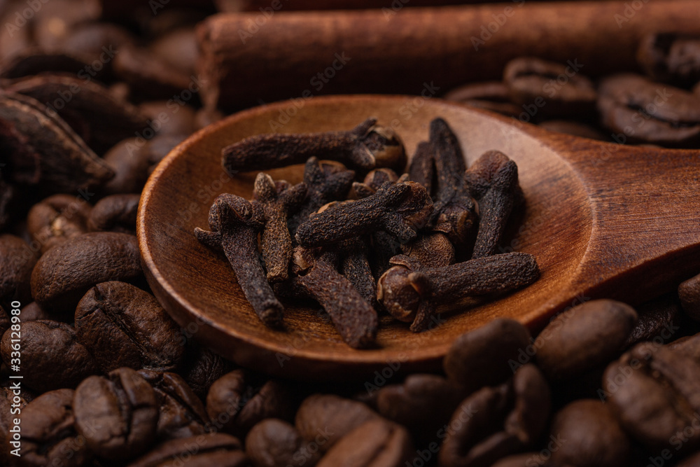 Fototapeta premium Anise, cinnamon sticks and cloves in a wooden spoon, macro