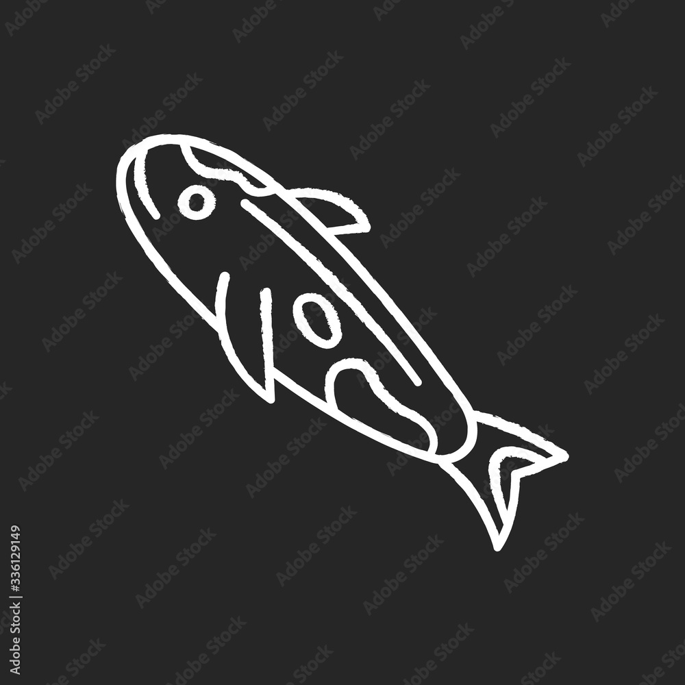 Koi carp chalk white icon on black background. Japanese fish as luck symbol. Exotic chinese goldfish. Underwater wildlife animal. Cath and lure, fishery. Isolated vector chalkboard illustration Koi carp chalk white icon on black background. Japanese fish as luck symbol. Exotic chinese goldfish. Underwater wildlife animal. Cath and lure, fishery. Isolated vector chalkboard illustration