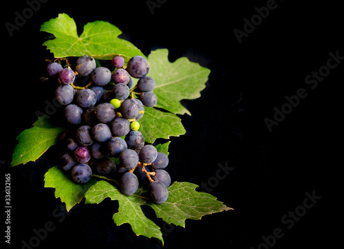 Fotografie, Obraz bunch of fresh grapes and grape leaves isolated on black background