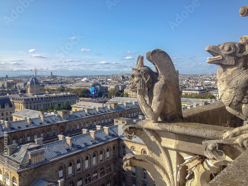 Paris.View from Notre Dame © Max