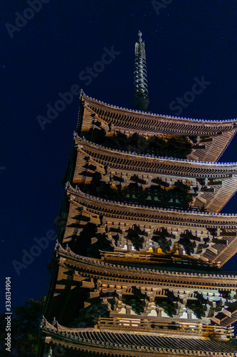 夜空の五重塔 (Japan - Nara - Kofuku-ji Temple) photo