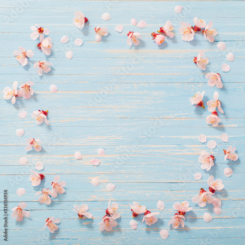pink cherry flowers on wooden background