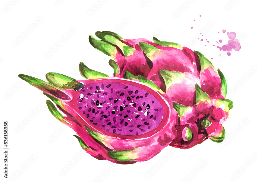 Pitaya fruit Whole and cut in half. Red or purple Dragon fruit. Hand drawn watercolor illustration isolated on white background Pitaya fruit Whole and cut in half. Red or purple Dragon fruit. Hand drawn watercolor illustration isolated on white background