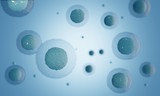 Stem cells under a microscope. 3d rendering - illustration.