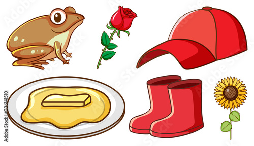 Large set of different animals and other objects on white background