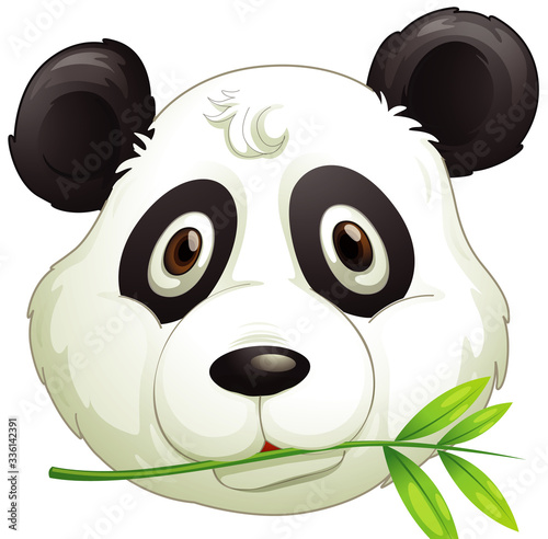 Face of cute panda eating bamboo leaves