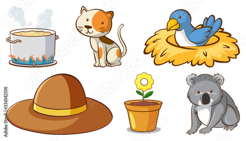 Large set of different animals and other objects on white background