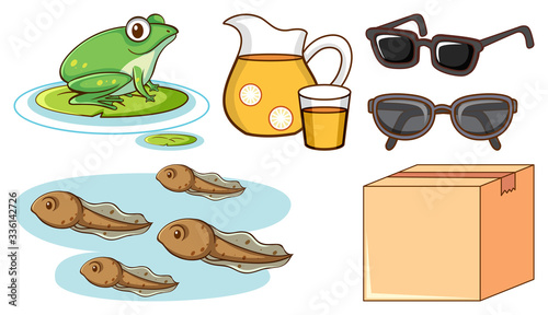 Large set of different animals and other objects on white background