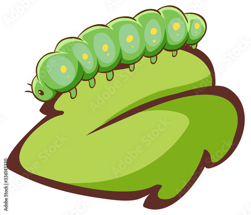 Green caterpillar on leaf on white background