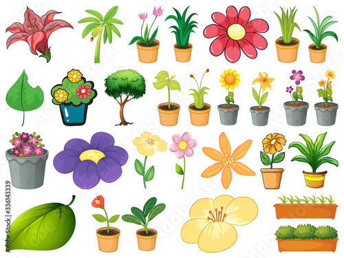 Large set of different plants on white background