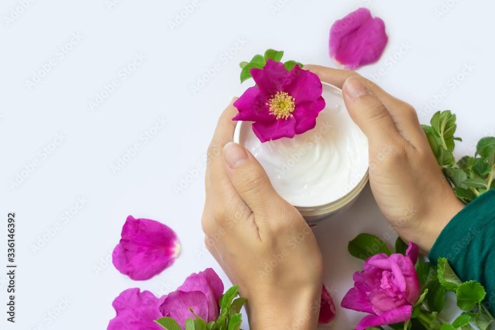 Young female hands are holding jar with white anti-ageing moisturizing cream with dog rose oil essential and vitamin E   on background with bright pink dog roses, petals and green leaves